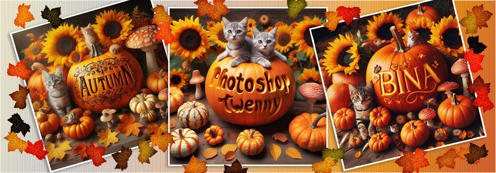 Twenny Bina Kreativ mit Photoshop